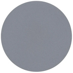 Parisax Matte Grey Eyeshadow