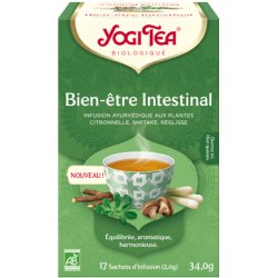 YOGI TEA Équilibre Naturel 17 x 2g