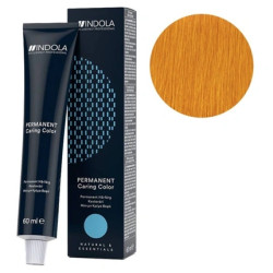 Indola Pcc 0.33 60ml - General Beauty Care