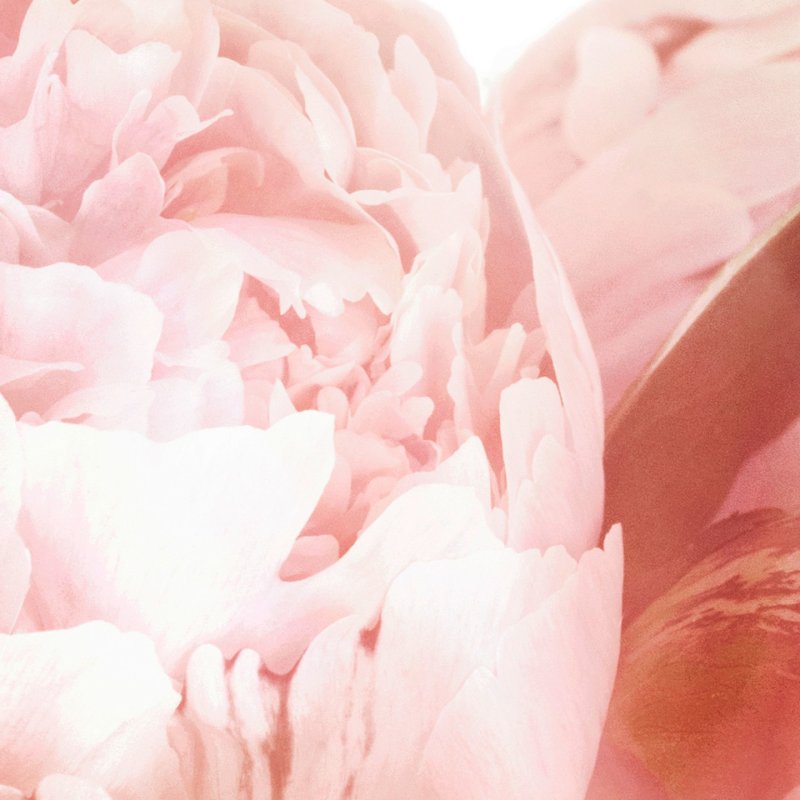 Burberry Brit Sheer For Women Eau de Toilette Spray 30ml