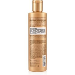 Argan Shine Shampoo for Dull and Dry Hair 300ml