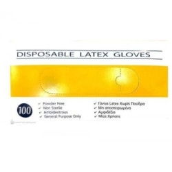 Association Latex Gloves Disposable Powder-Free Large 100 Pieces