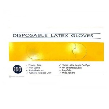 Association Latex Gloves Disposable Powder-Free Large 100 Pieces