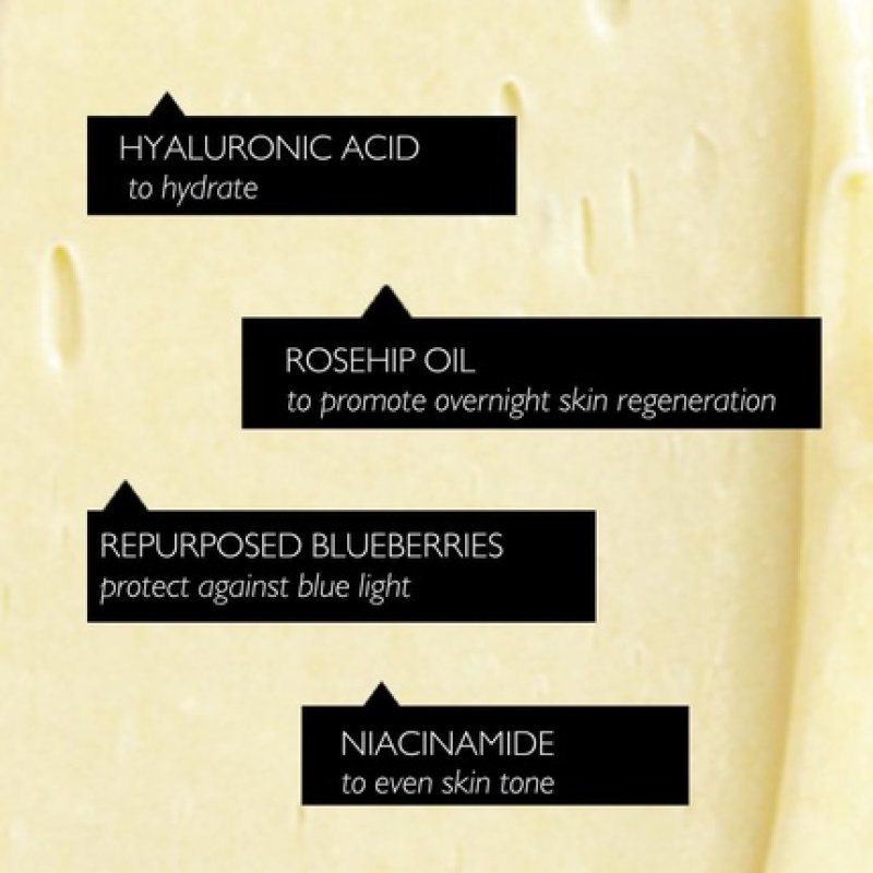 UpCircle Mini Travel Size Night Cream with Hyaluronic Acid and Niacinamide 30ml - Nourishing and Unscented for