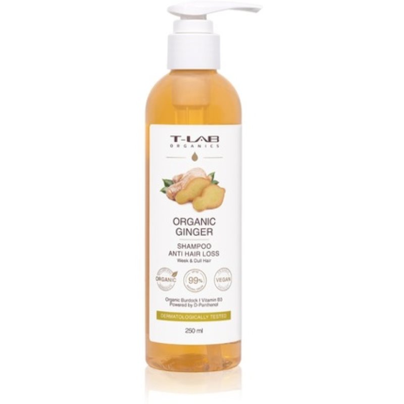 T-LAB Organics Organic Ginger Anti Hair Loss Shampoo - Hair Care Shampoo, Size: ml