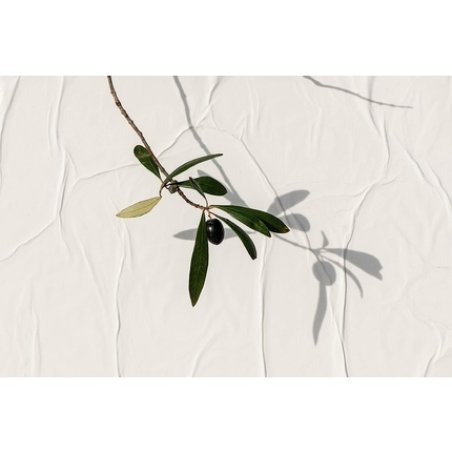 KORRES Olive Nourishing Conditioner