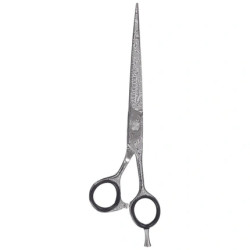 Sibel Barbury's Thorsten Scissors 6 Inches