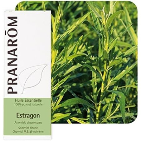 Pranarom Estragon Essential Oil 5ml