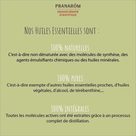 Pranarôm Essential Oil German Chamomile 5ml