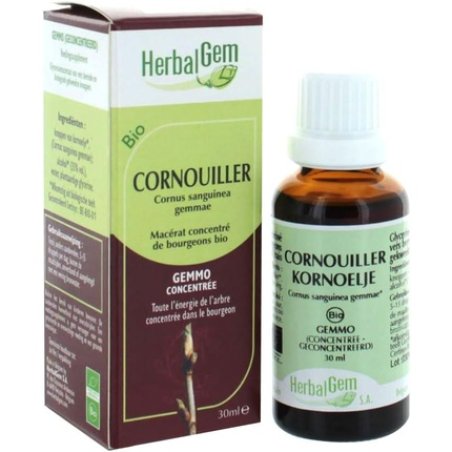 Herbalgem Organic Dogwood 30ml