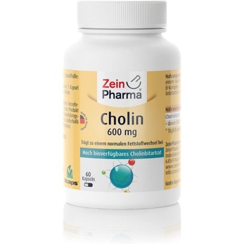 ZeinPharma Cholin 600mg 60 Capsules - Monthly Pack for Normal Fat Metabolism