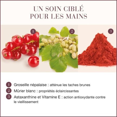 New Nordic Pigment Clear Hand Cream - Fast Absorbing Nourishing Formula