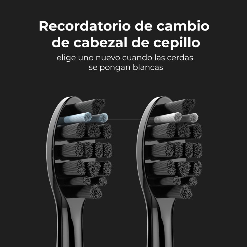 AENO DB6 Adult Sonic toothbrush Black