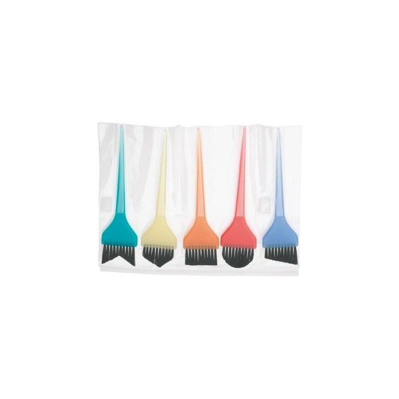 Sibel Set Of 5 Hair Coloring Brushes
