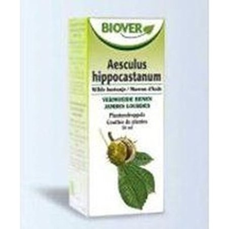 Aesculus Hippocastanum Chestnut Tm 50ml from Biover