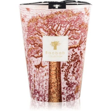 Baobab Collection Sacred Trees Woroba candela profumata 24 cm