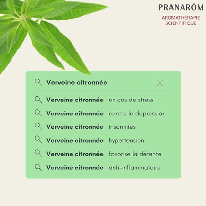 Pranarôm Lemon Verbena Essential Oil 5ml