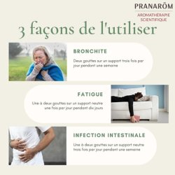 Pranarôm Thymol Thyme Essential Oil 10ml