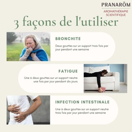 Pranarôm Thymol Thyme Essential Oil 10ml