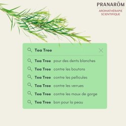 Pranarôm Bio Essential Oil Tea Tree 30ml