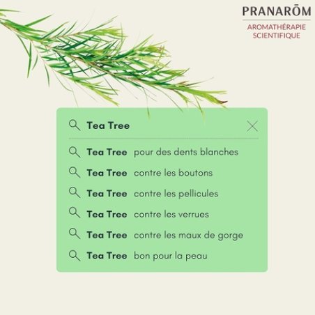 Pranarôm Bio Essential Oil Tea Tree 30ml
