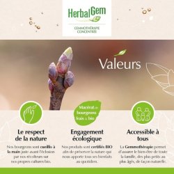 Herbalgem Organic Virgin Vine 30ml