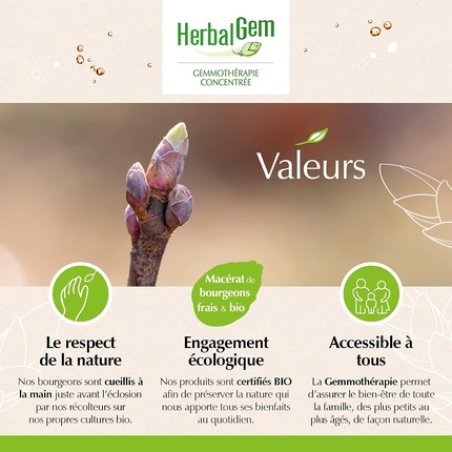 Herbalgem Organic Virgin Vine 30ml