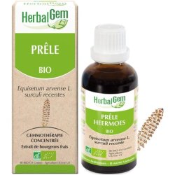 Herbalgem Organic Horsetail 30ml