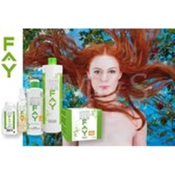 Fay Faycare Shampoo Bamboo White Lotus Extract