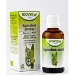 Equisetum Arvense Horsetail Tincture 50ml Biover