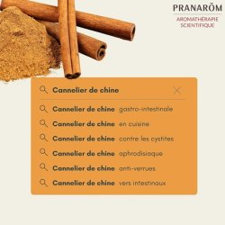 Pranarom Essential Oil Cinnamomum Cassia Leaf