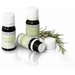 Pranarom Java Citronella Organic Essential Oil 10ml