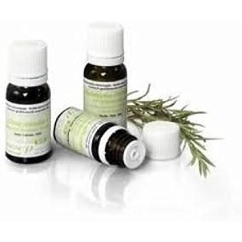 Pranarom Java Citronella Organic Essential Oil 10ml