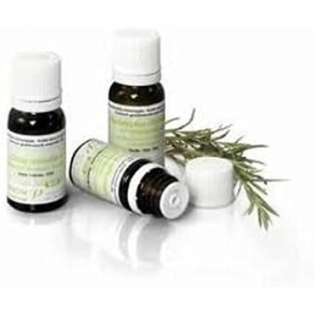 Pranarom Java Citronella Organic Essential Oil 10ml