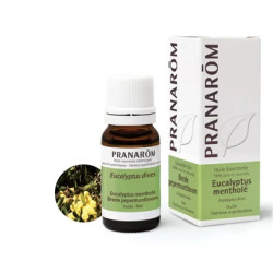 Pranarom Eucalyptus Dives Essential Oil