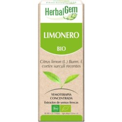 Herbalm Lime 50ml