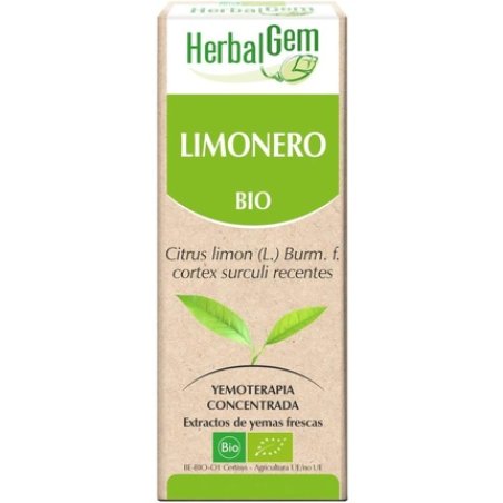Herbalm Lime 50ml