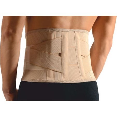Anatomic Line 5154 Lumbar Support Belt For Multiple Conditions Gold Size Medium Height 20cm 1 Piece