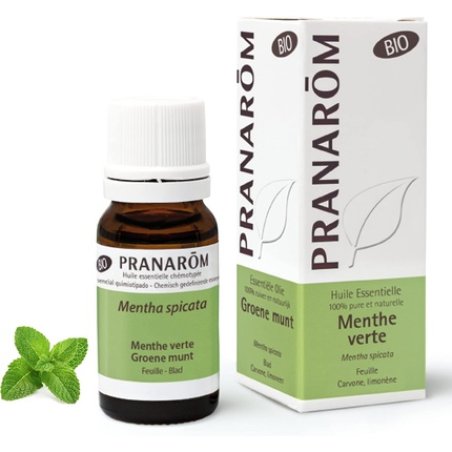 Pranarôm Organic Spearmint Essential Oil 10ml