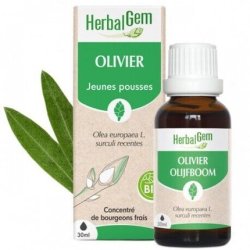 Herbalgem Olivier Bio