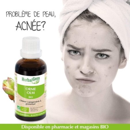 Concentrated Mother Macerates Elm 30ml