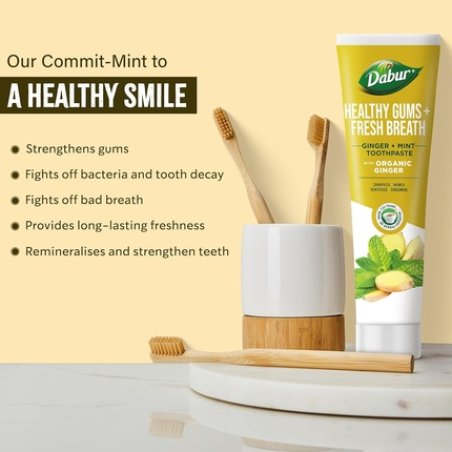 Dabur Organic Ginger & Mint Toothpaste 100ml