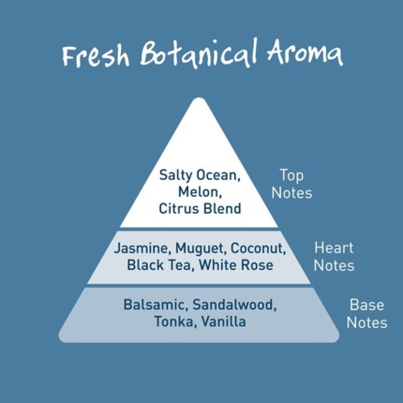 Salt Of The Earth Natural Deodorant Roller with Sea & Coconut - Vegan, Long-Lasting Protection, Cruelty-Free, Made in