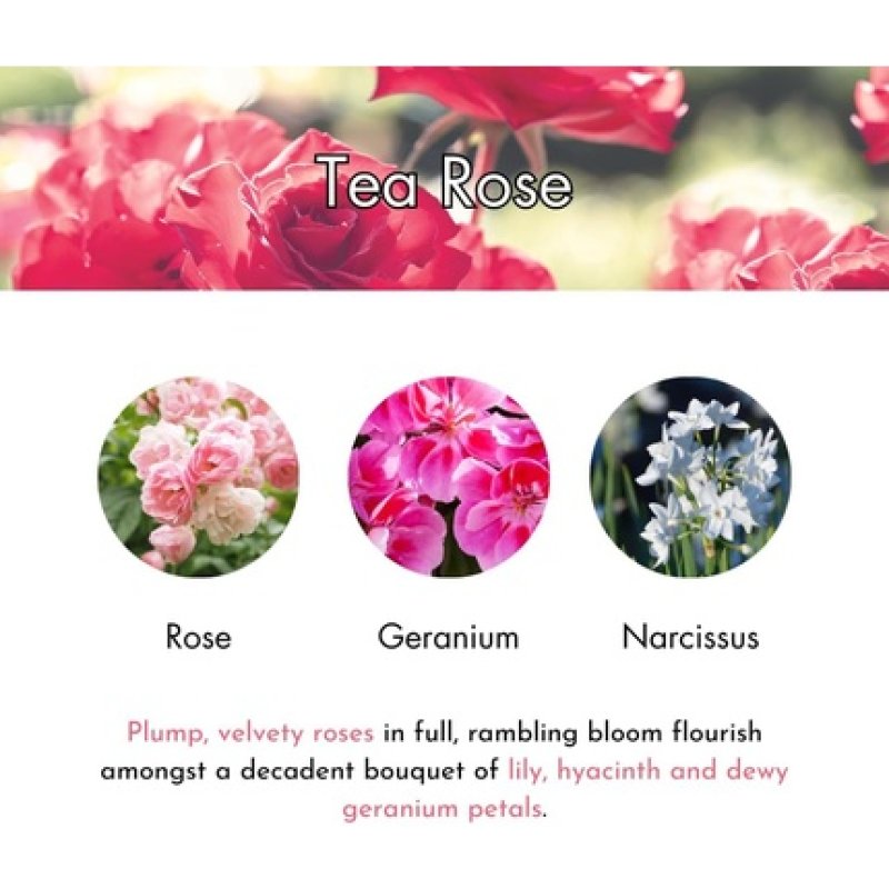 Ashleigh & Burwood Sandalwood Lamp Fragrance 1000ml