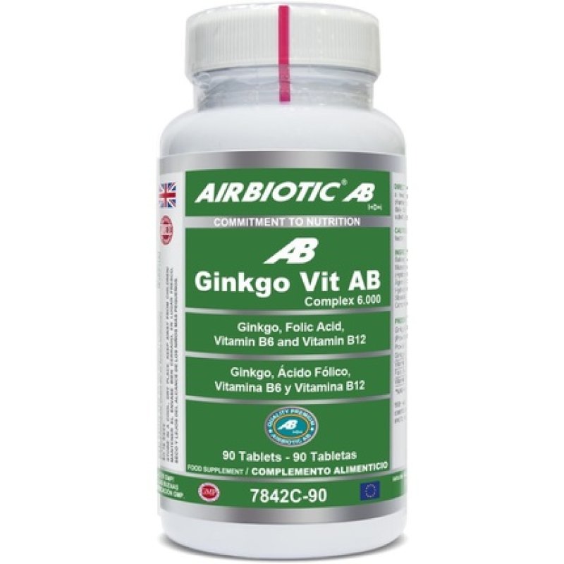 Ginkgo Vit 6000 90 Tablets