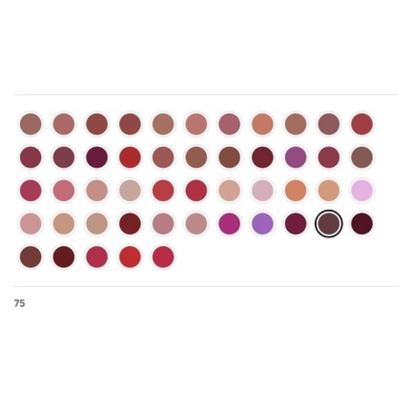 Radiant Professional Matt Lasting Lip Color Ultra Nourishing Moisturizing Long Lasting Lipstick With Vitamin E SPF 15