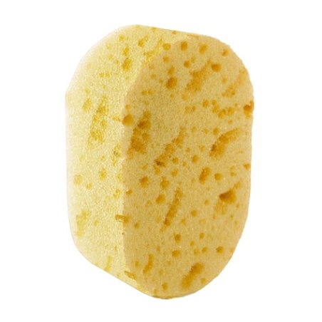 Inter-Vion Yellow Bath And Massage Sponge
