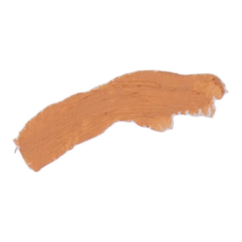 Benecos Biocosmetics Cover Stick High Coverage Talk-Free Vegan Vanilla