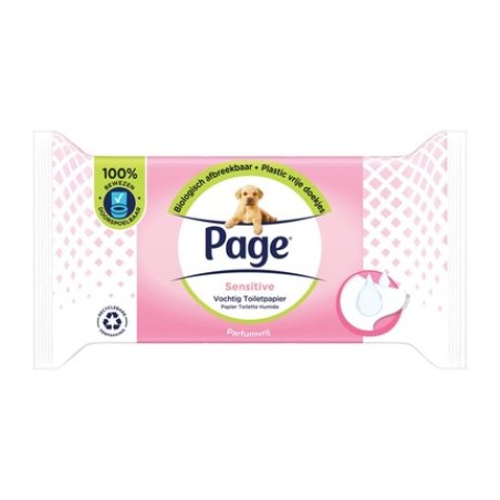 Page Wet Toilet Sensitive Refill