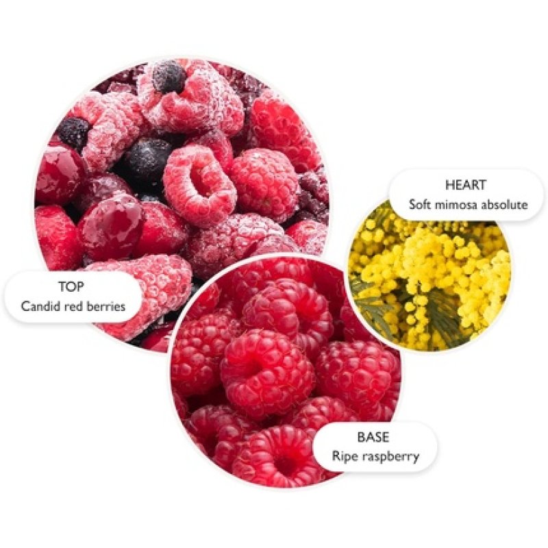 Molton Brown Merry Berries & Mimosa Bath & Shower Gel 300ml